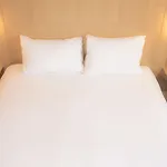 Hotel Ibis Lomme Centre 3*